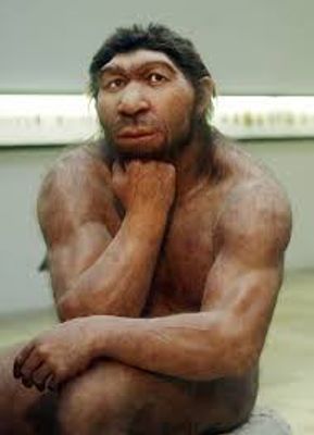 Neanderthal62